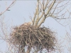 Seeadler201616-02-27_14-01-10-77