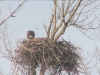 Seeadler201616-02-27_15-30-10-77