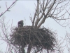 Seeadler201616-02-27_15-32-10-74
