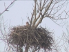 Seeadler201616-02-27_15-42-10-76