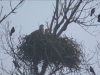 Seeadler201616-02-28_06-53-10-80
