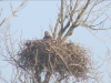 Seeadler201616-02-28_09-10-10-80
