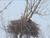 Seeadler201616-02-28_15-51-10-79