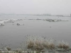 Vogelbiotop-20170117-1222301515