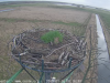 vlcsnap-2019-03-26-17h06m08s216
