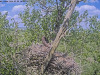 snapshot_2024_05_09_14_36_55
