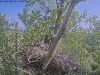 snapshot_2024_05_10_09_17_45
