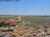 snapshot_2024_05_13_12_57_53