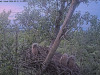 snapshot_2024_05_31_21_55_51