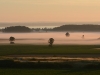 1-Nebel