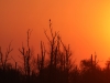 Winzlar - 2019-04-19-0N