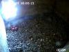 snapshot.jpg-21.4