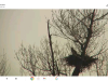 Screenshot_2023-04-27-06-28-06-506