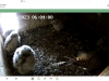 Screenshot_2023-06-07-06-04-42-449