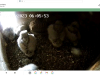 Screenshot_2023-06-07-06-06-35-544