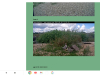 Screenshot_2023-08-04-15-36-33-798