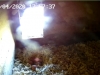 Screenshot_20200415-185817_Chrome