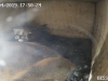 vlcsnap-2019-04-08-17h42m15s152