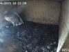 vlcsnap-2019-04-08-17h50m28s323
