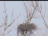 seeadler14-03-04_11-21-43-38
