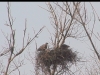 seeadler14-03-04_16-42-23-37