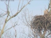 Seeadler-15-04-24_13-50-23-11