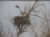Seeadler-20180123_12-31-42
