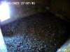 snapshot-Turmfalke-1.Ei_