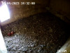 snapshot-Turmfalke-2.Ei_