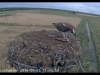 clip_image002e