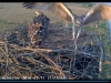 clip_image002b