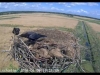 clip_image002d