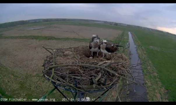 clip_image002f
