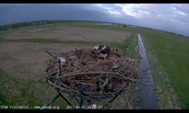 clip_image002g