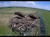 clip_image002h