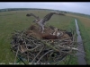 clip_image002-2017-06-27