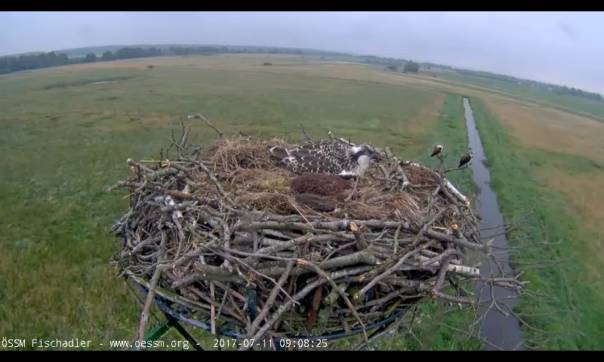 clip_image002-20170711b