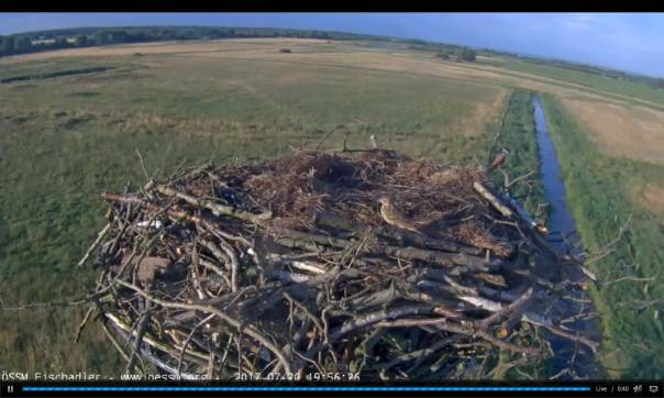clip_image002-2017-07-21