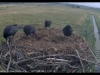 clip_image002.-20170809bjpg