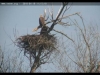 clip_imageSeeadler