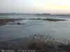 Vogelbiotop-20170215-1813535339