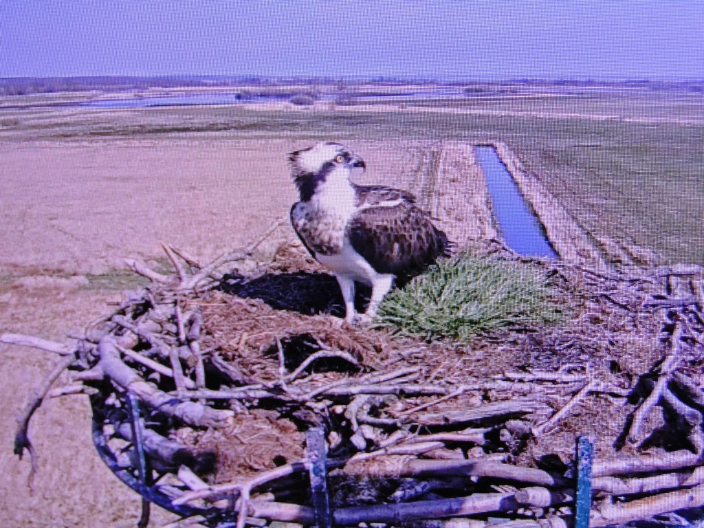 DSC06731k