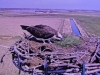 DSC06727k