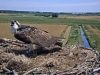 IMG_20220712_211946