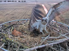 videoframe_4294967295-27