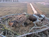 videoframe_4294967295-28