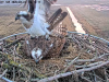 videoframe_4294967295-32