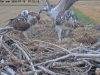videoframe_642210