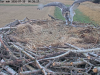 videoframe_660780