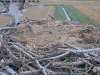 videoframe_752741